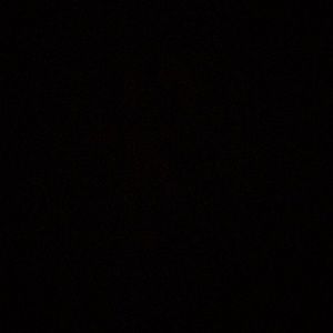 Meet your Posher, Millie